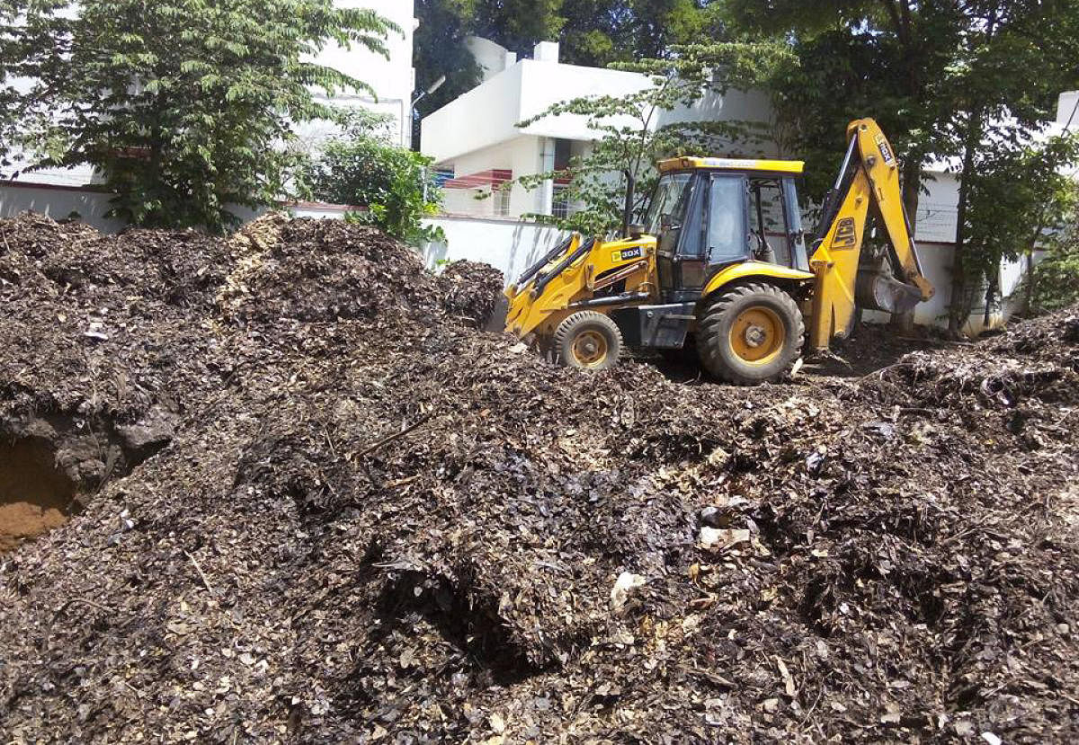 Koramangala residents turn dry leaves into fertilisers