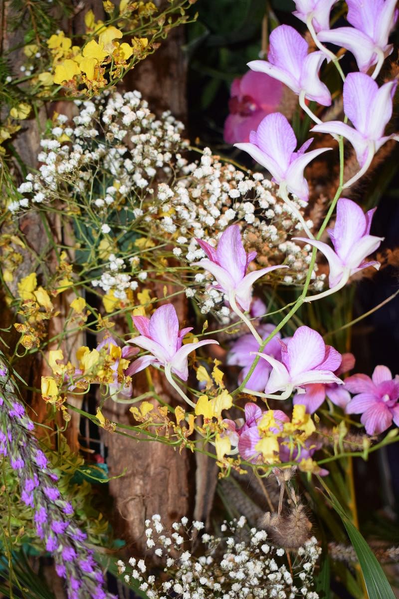 His passion for orchids spans a lifetime