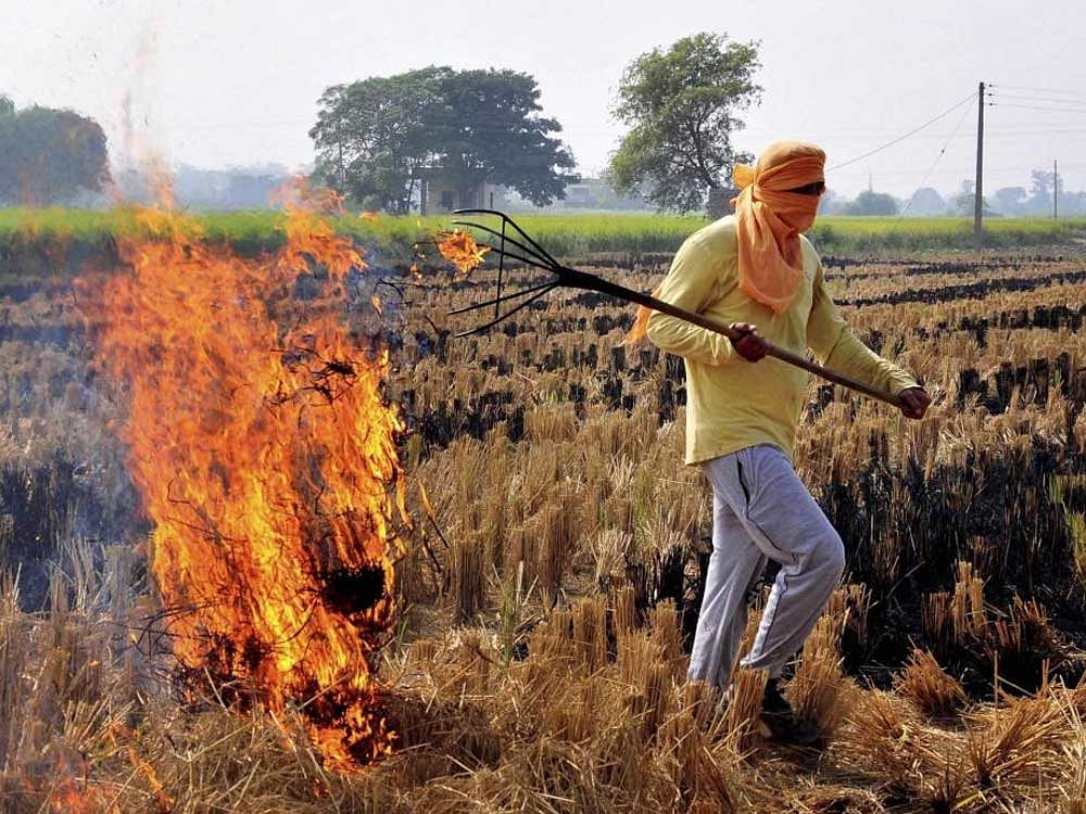 Thermal plants to be told to use crop residue 