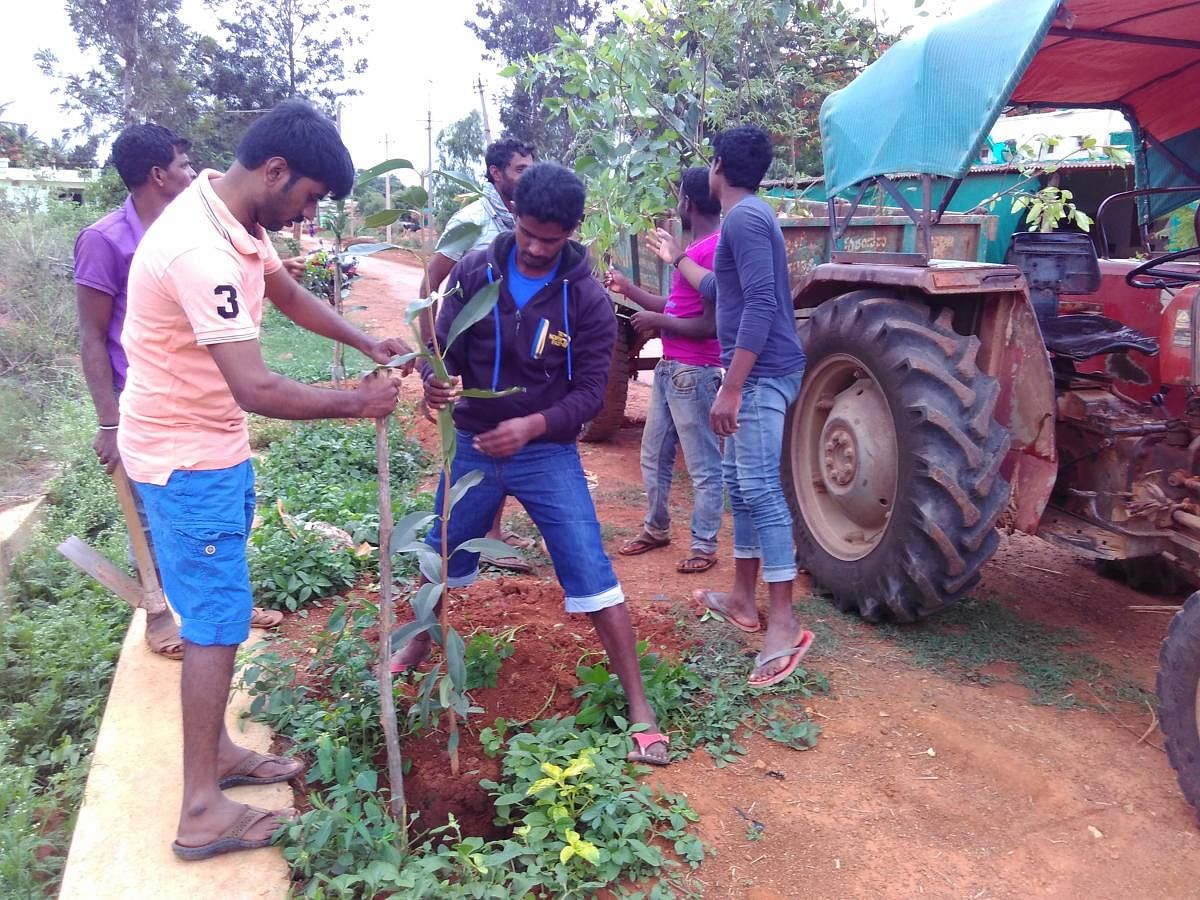 Community efforts to green the surroundings