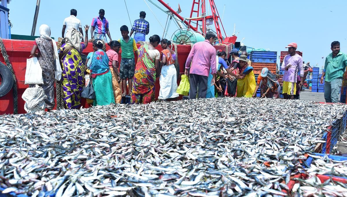 ‘Goa lifts ban on fish from K’taka’