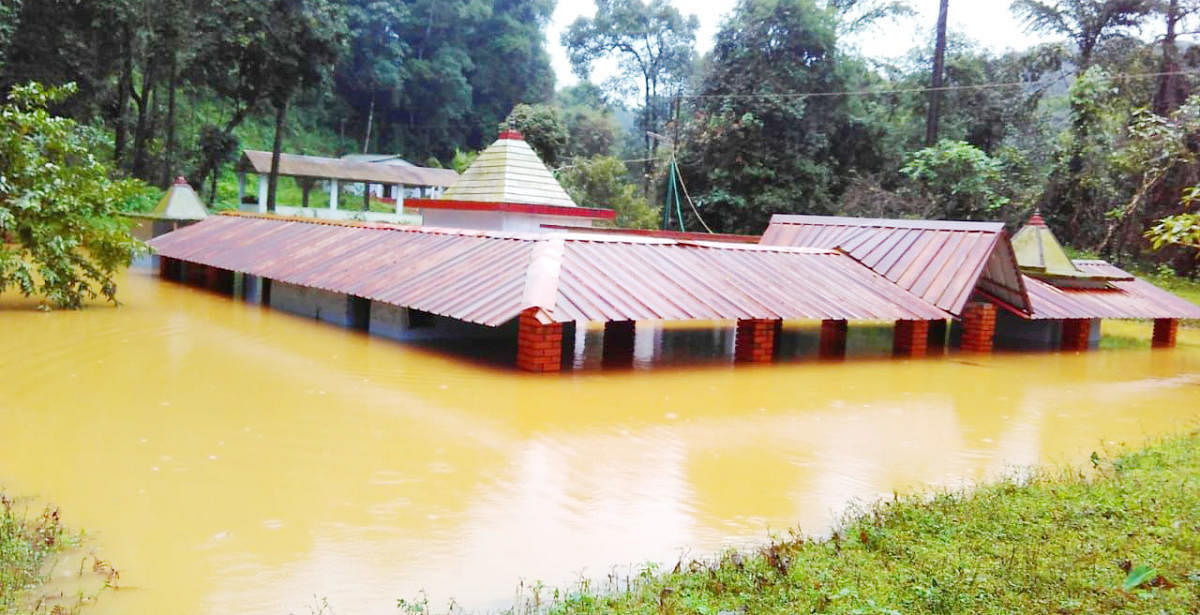 Monsoon revives in full force in Malnad
