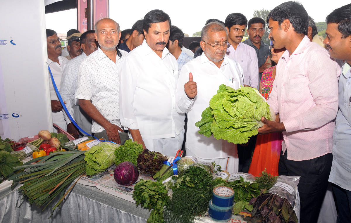 Exotic vegetables, animals a hit at Raitha Dasara