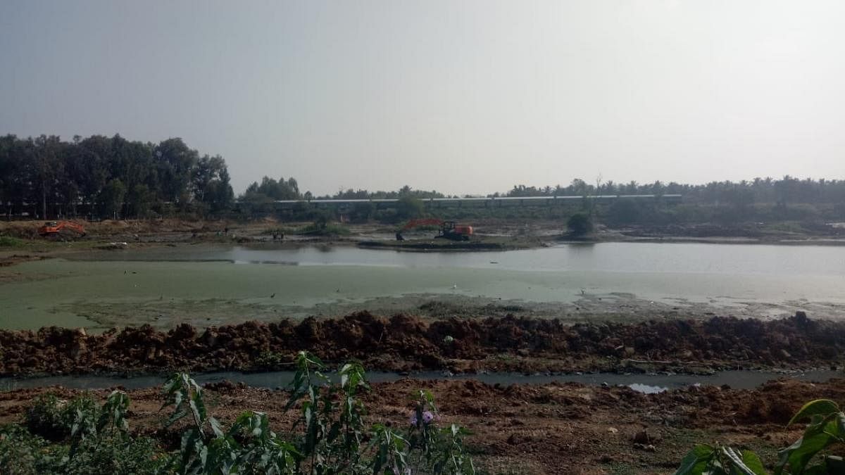 Panathur Lake to get a fresh lease of life soon