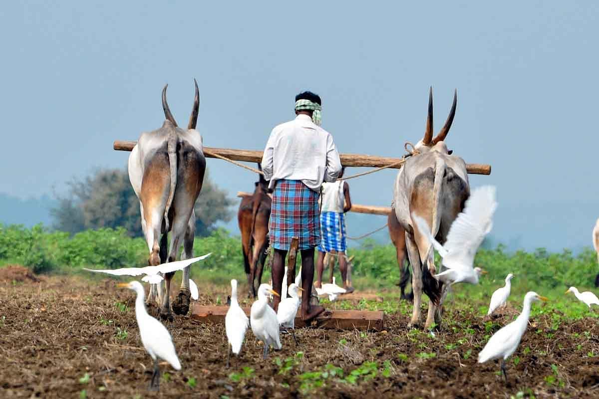 In a first, 3 Bihar farmers pledge e-warehouse receipts