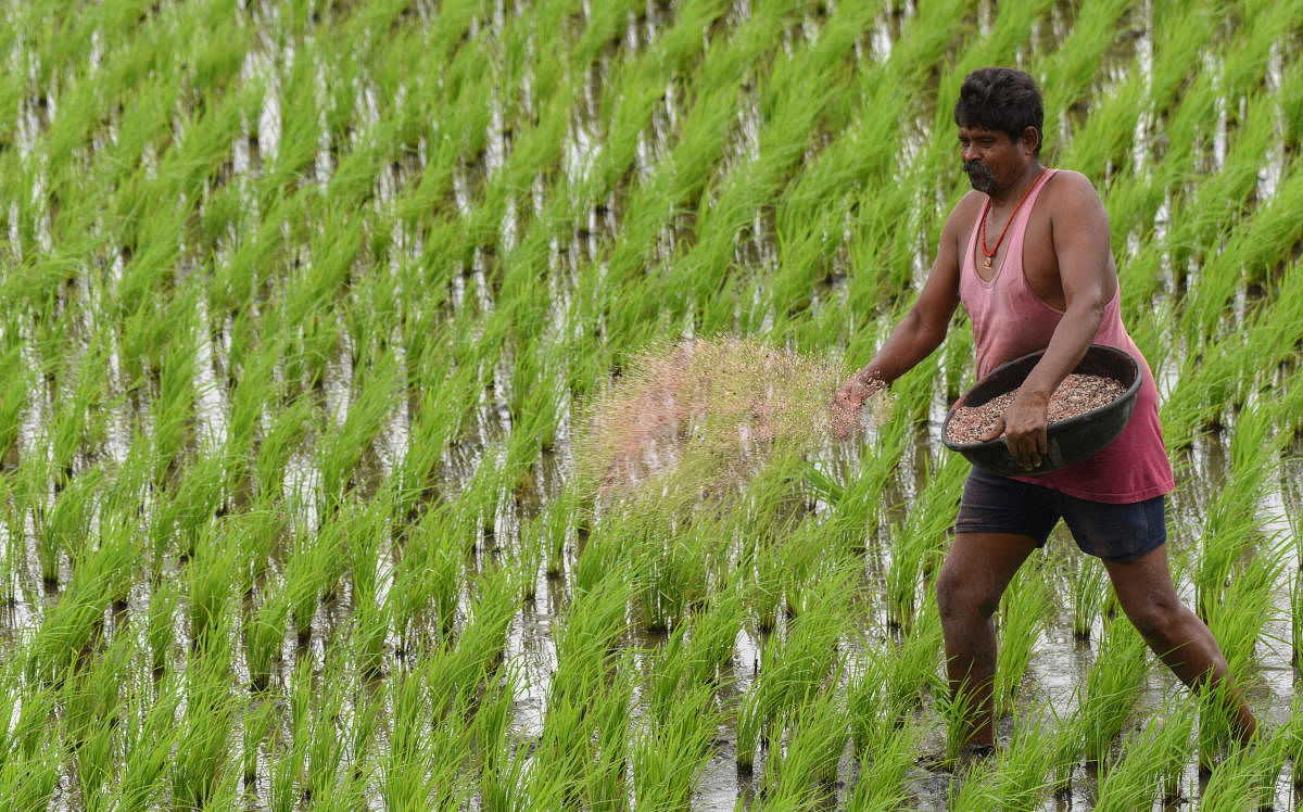 Centre plans monthly dole for farmers