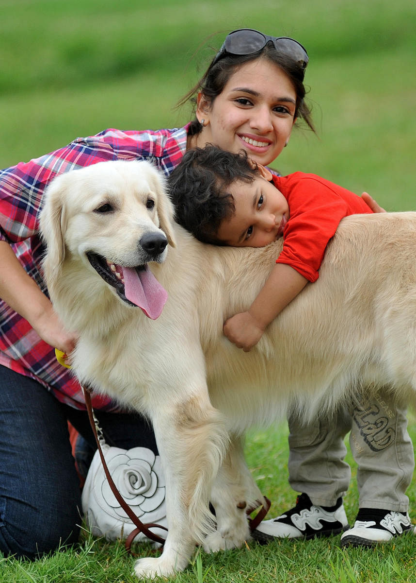 New guidelines for pet parents