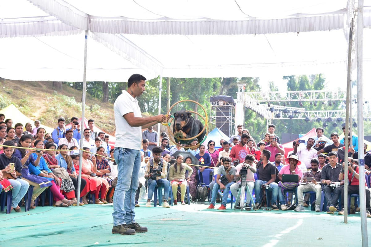 Dog show draws a huge crowd in Madikeri