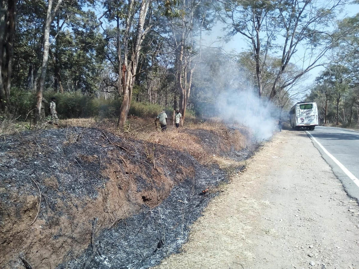 Preventive measures to check forest fire