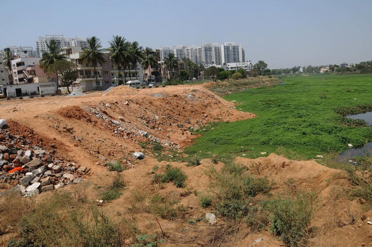 Bengaluru: Buffering zones, suffering lakes