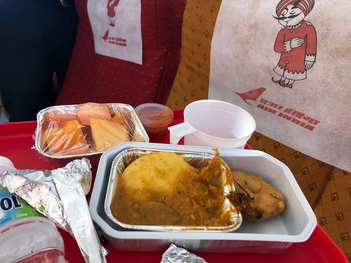 AI apologises to passenger who got roach in meal
