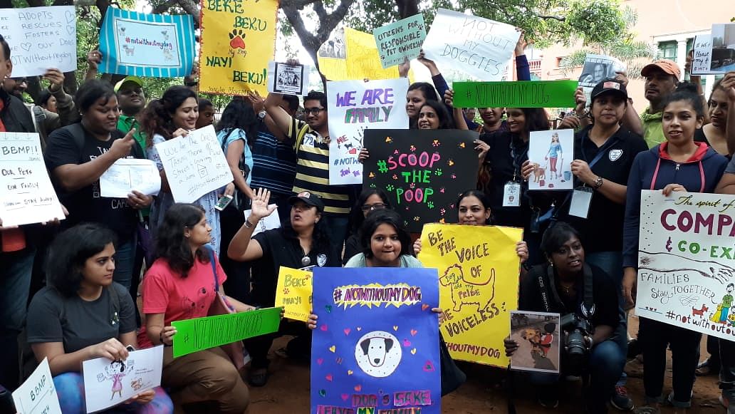 Dog lovers continue protest against against BBMP's new pet dog licensing rule