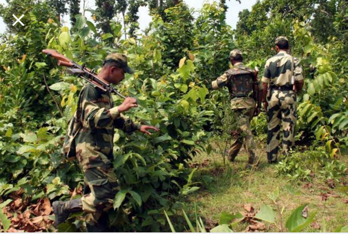 ANF resumes combing operations in Malnad region
