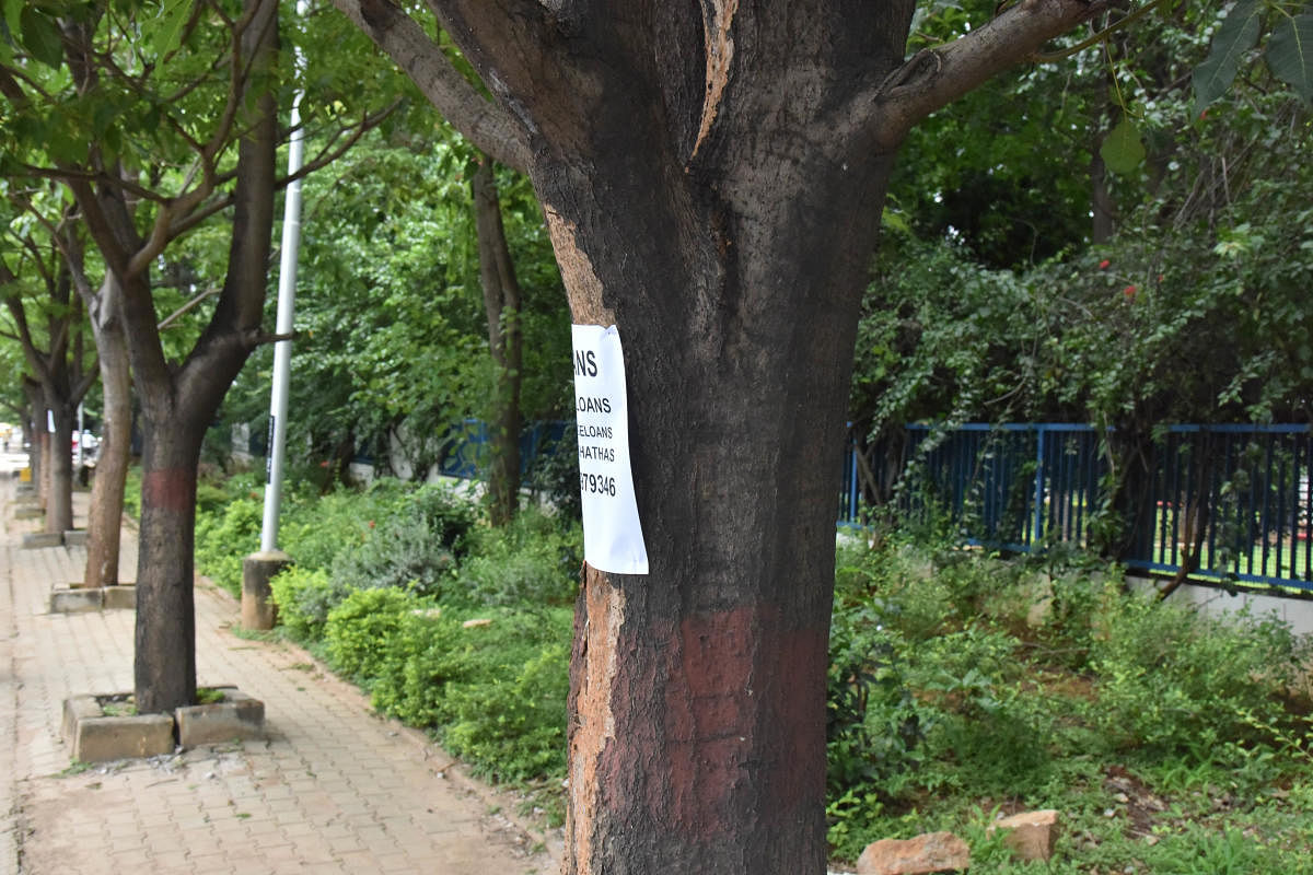 BBMP to outsource tree census to experts