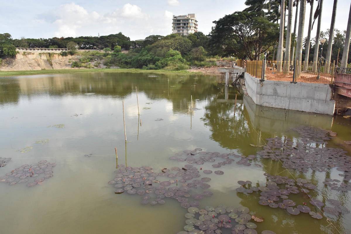 Lalbagh lake gets colourful with water lily plants