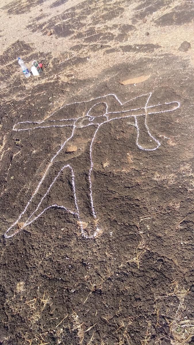 Petroglyph site discovered at Avalakki Pare