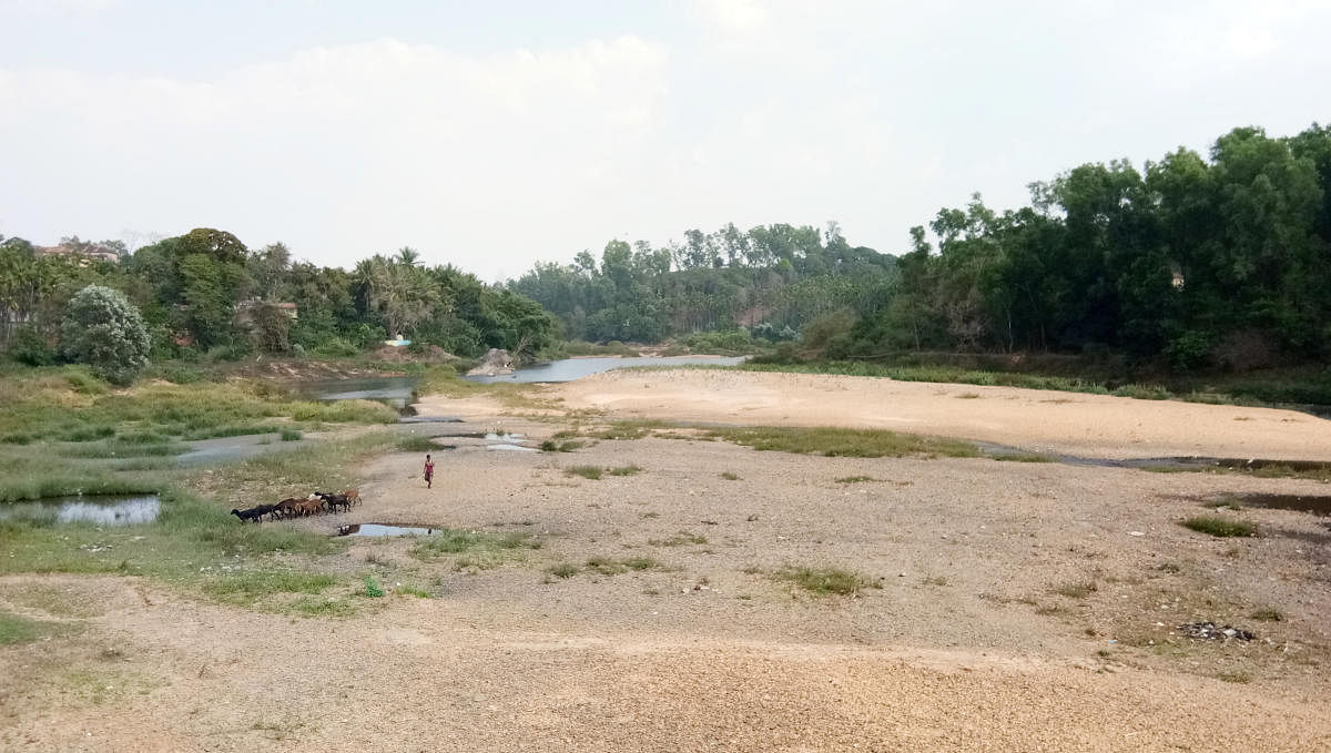 Declining water level in River Tunga a cause of concern