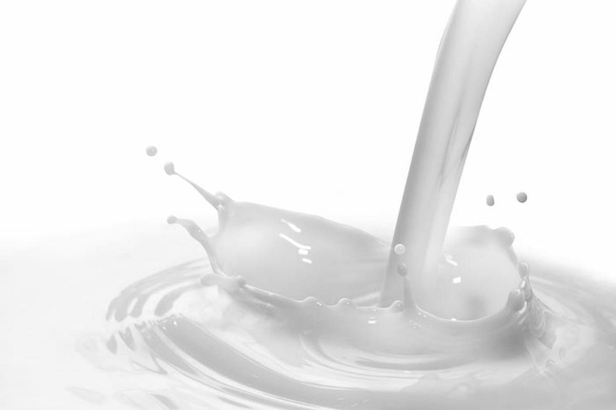 IIT develops system to detect milk adulteration
