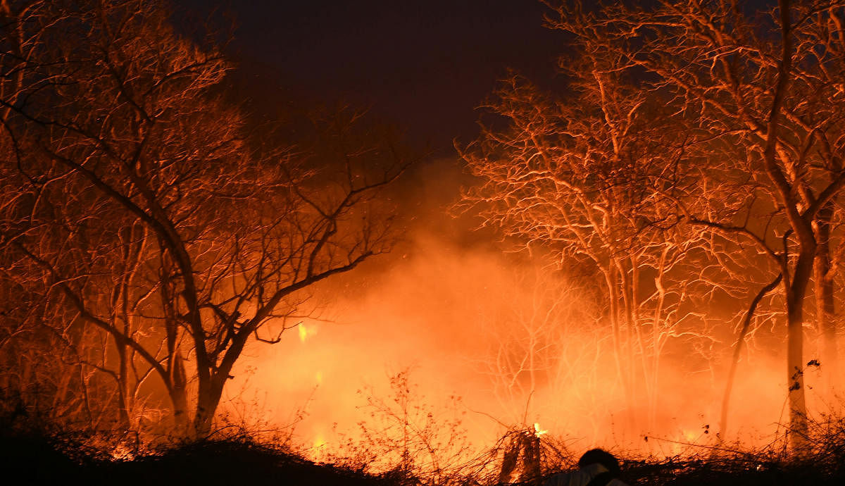 Bandipur wildfire brought to SC's notice