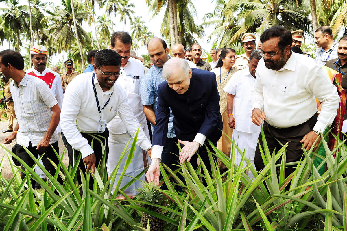 Focus on value addition to coconut: Kerala governor