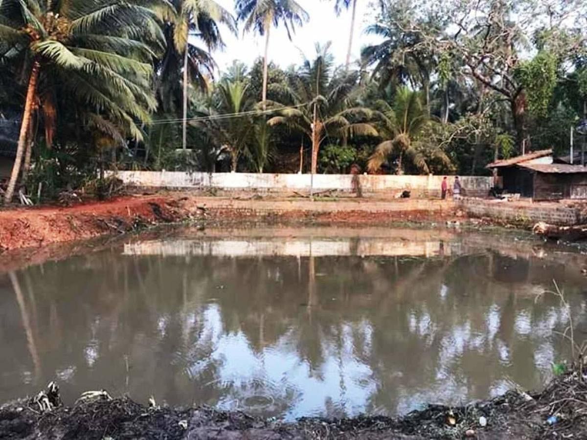 Youth in Kundapur give a fresh lease of life to lake