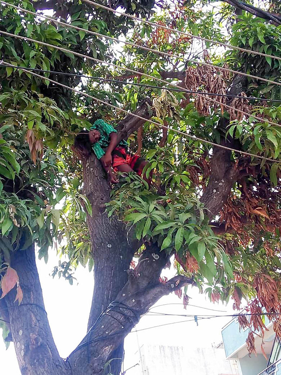 Electrocution of boy another reminder of Bescom apathy