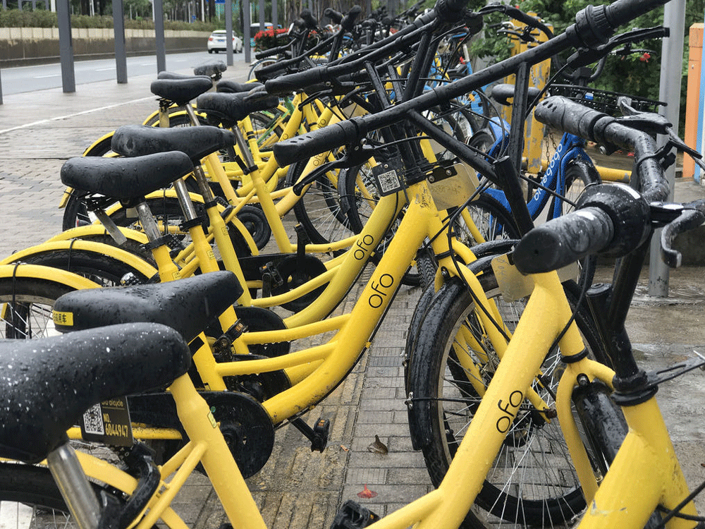 Bicycle sharing limited to campuses, gated communities