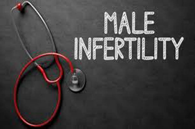 Genes essential for male fertility identified