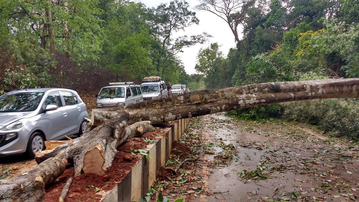 Heavy rain lashes Shivamogga, Uttara Kannada districts
