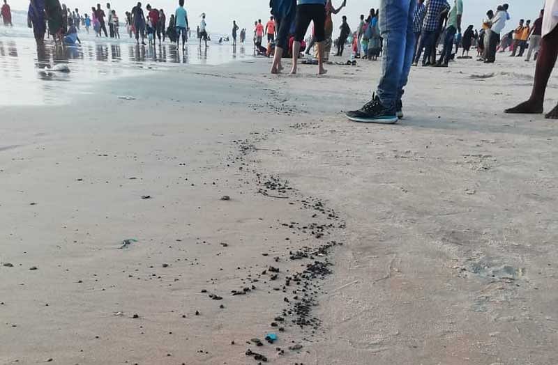 Oil waste discharges appear on Mangaluru beaches
