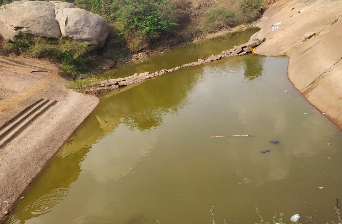 Five, including 4 siblings, drown in Siddara Betta pond