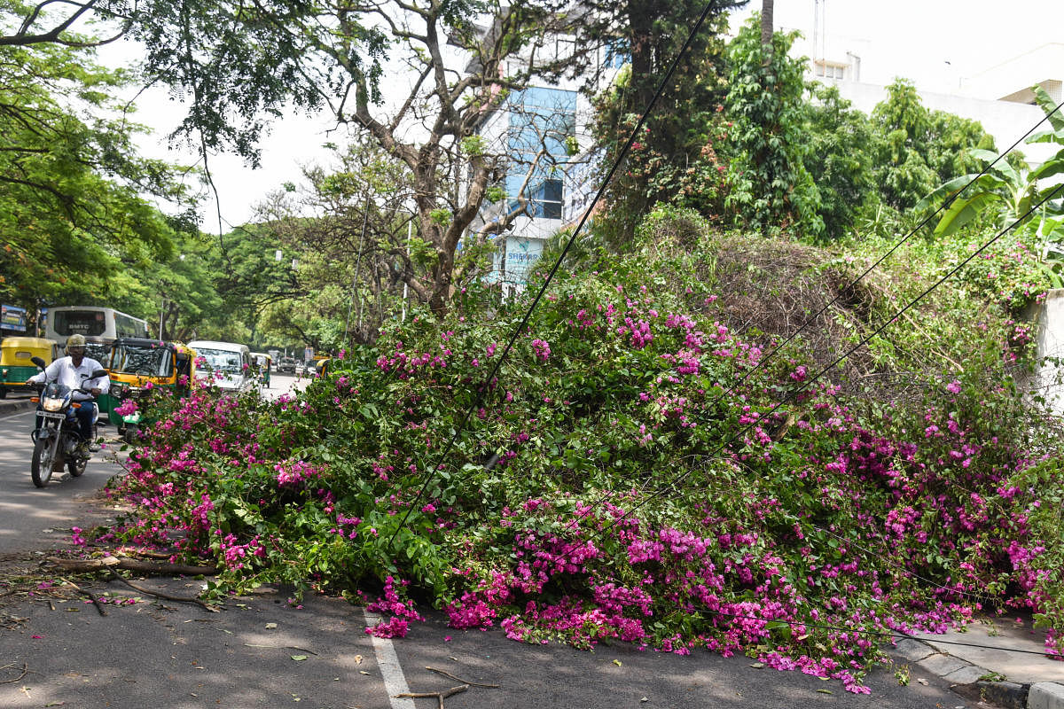 Four-hour rain fury batters Bengaluru's civic infra