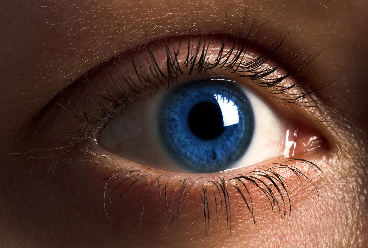 A smartphone pic can detect eye cancer