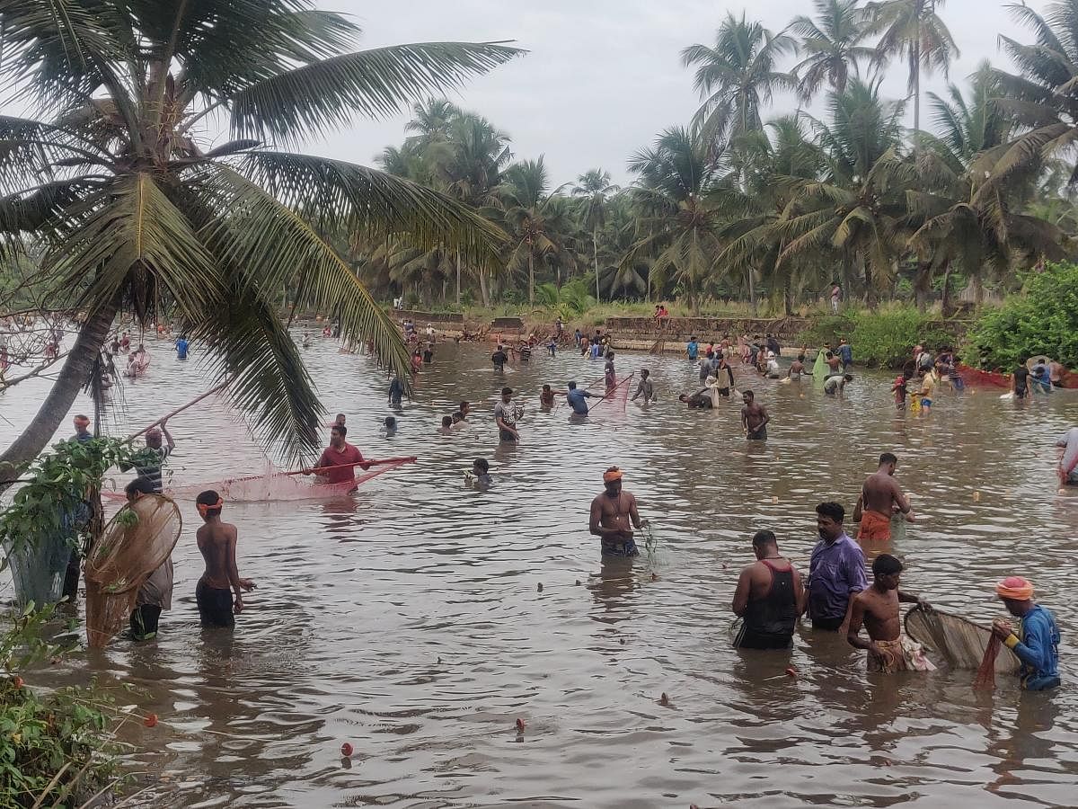 Devotees take part in fish catch at Khandige