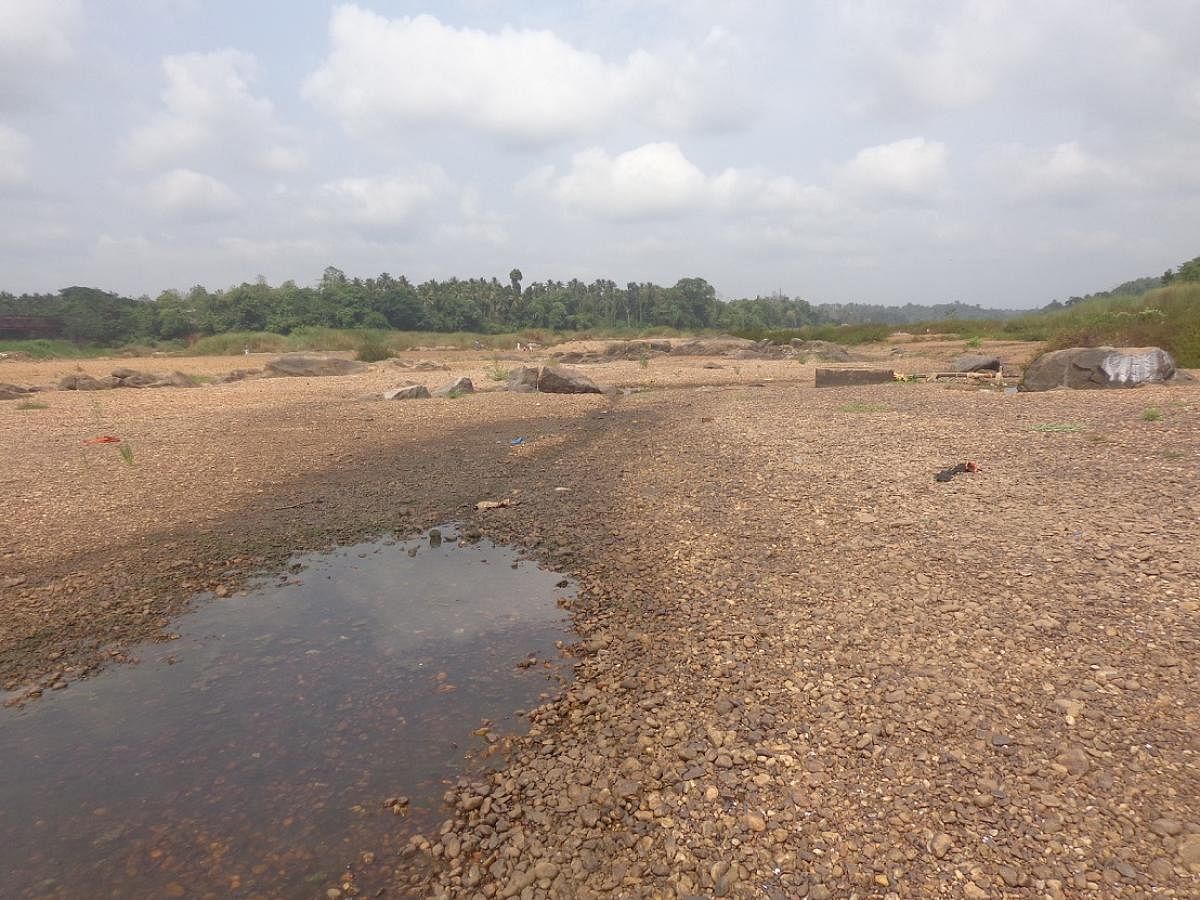 River Nethravathi dries up in Uppinangady