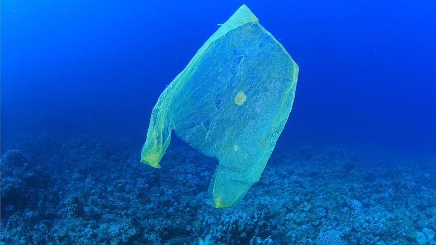 Plastic turning out to be a bane for the world
