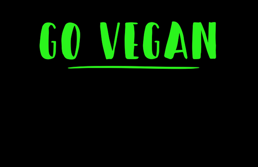 Vegan India Conference, a style of life and change