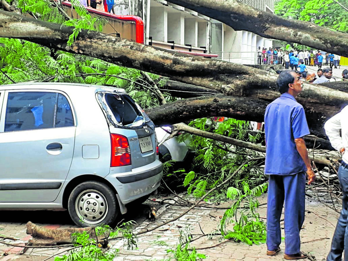 Two injured as tree crashes on cars