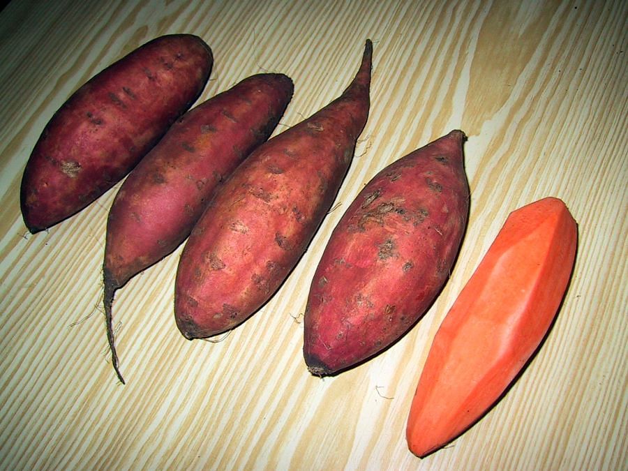 Sweet potato: Nutrient-packed and great for health