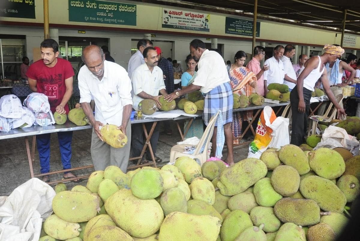 Jackfruit mela a hit in Udupi