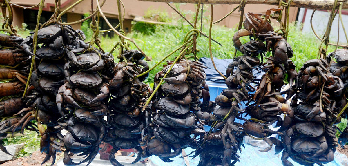 Increased demand for crabs, bamboo shoots in monsoon