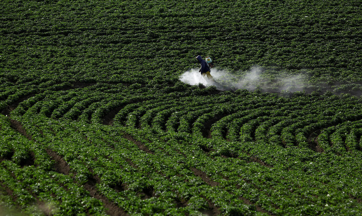 Maharashtra task force urges Centre to ban killer pesticides