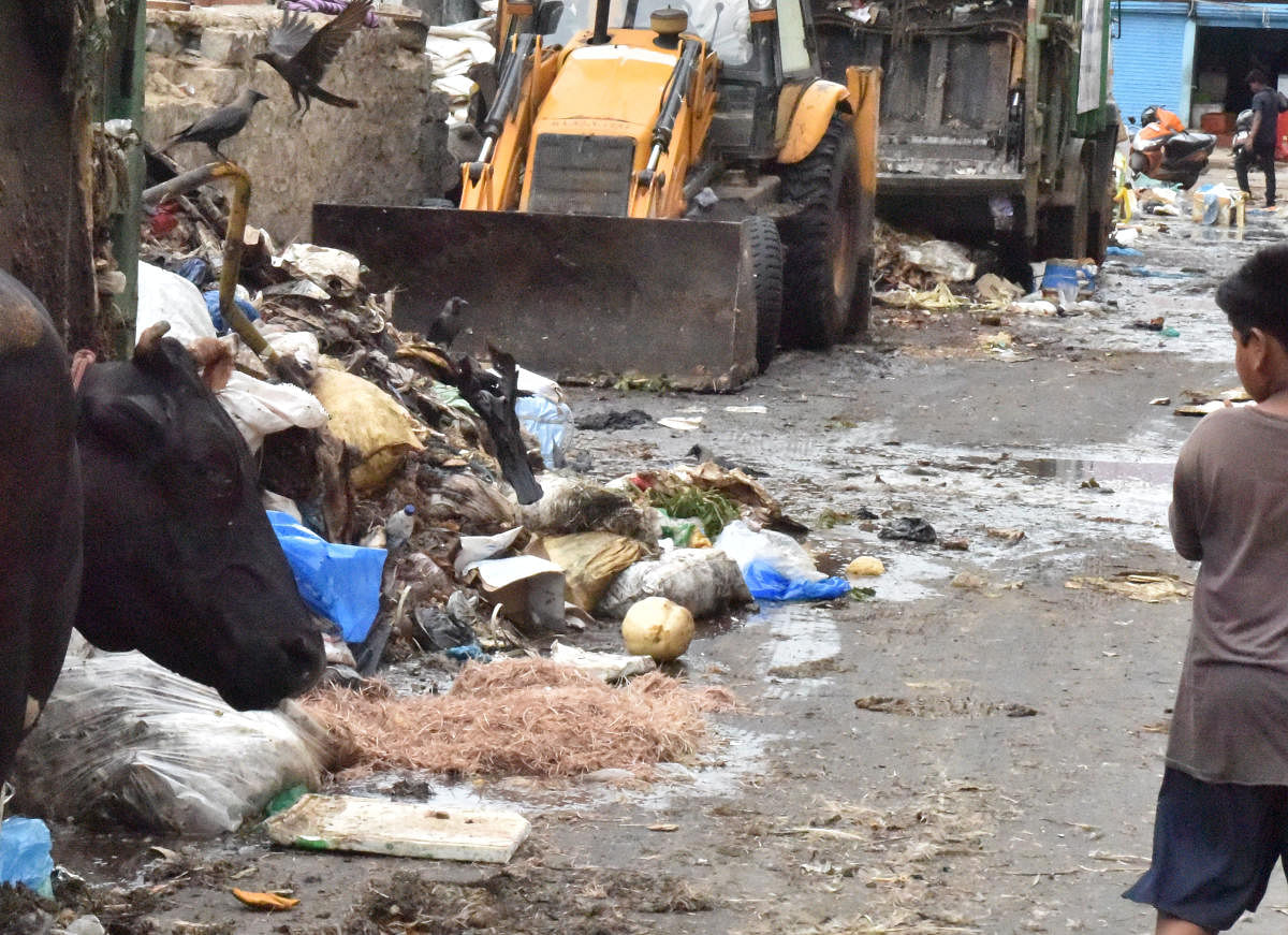 BBMP moots idea of reprocessing meat waste