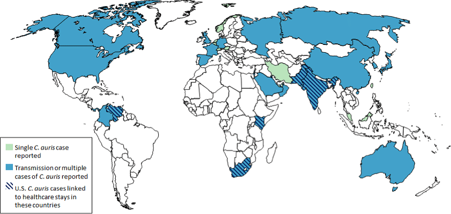 Countries from which Candida Auris cases have been reported, as of May 31, 2019. (Photo: Centres for Disease Control and Prevention website)