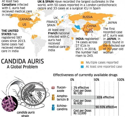 Candida Auris, a Global problem (Graphics by: Akhil Kadidal)