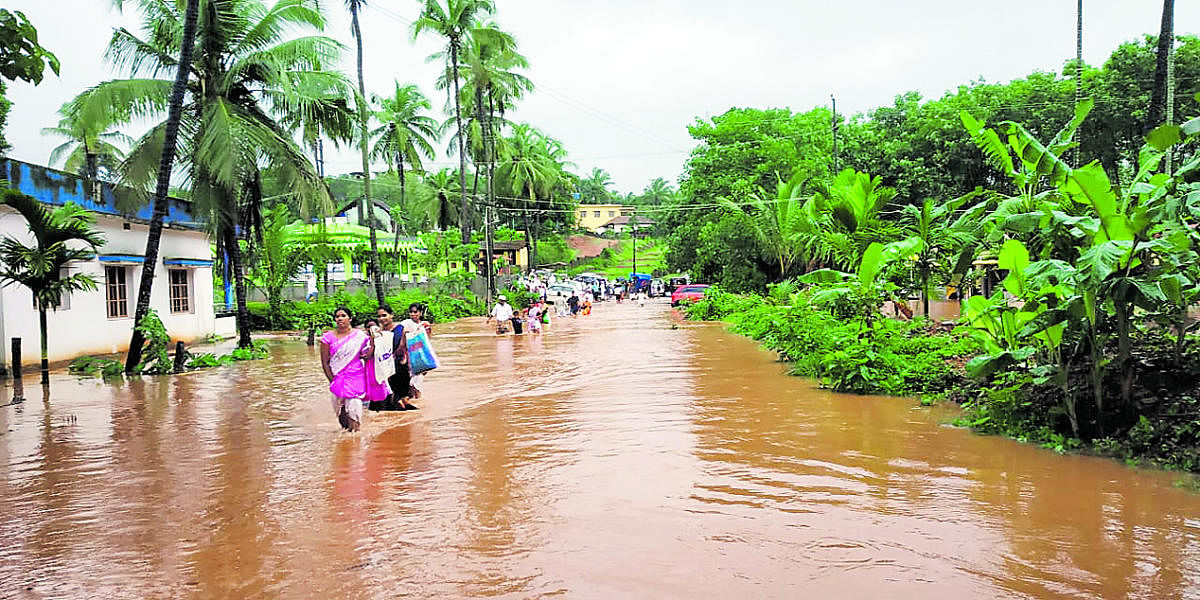 Rivers swell, submerge highways in Dakshina Kannada