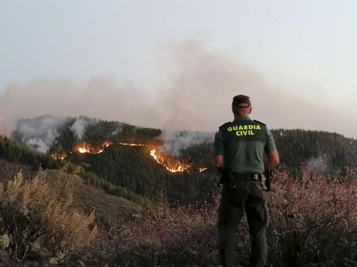 Firefighters make progress against Gran Canaria blaze
