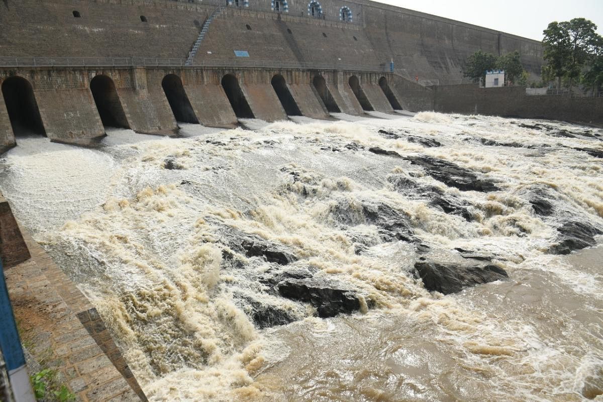 Punjab alert as excess water released from Bhakra dam