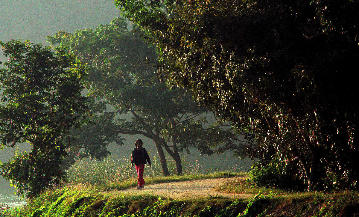 Capturing shadows of a fleeting world