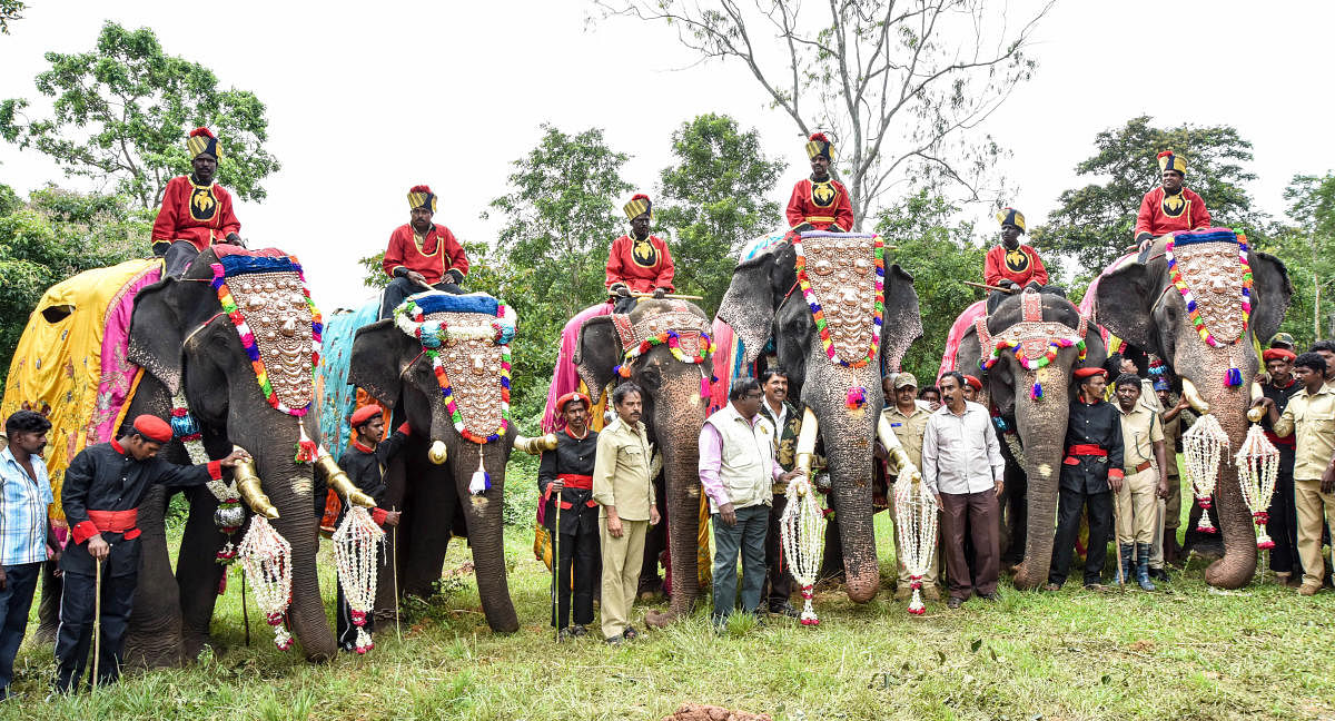 Dasara elephants covered under insurance